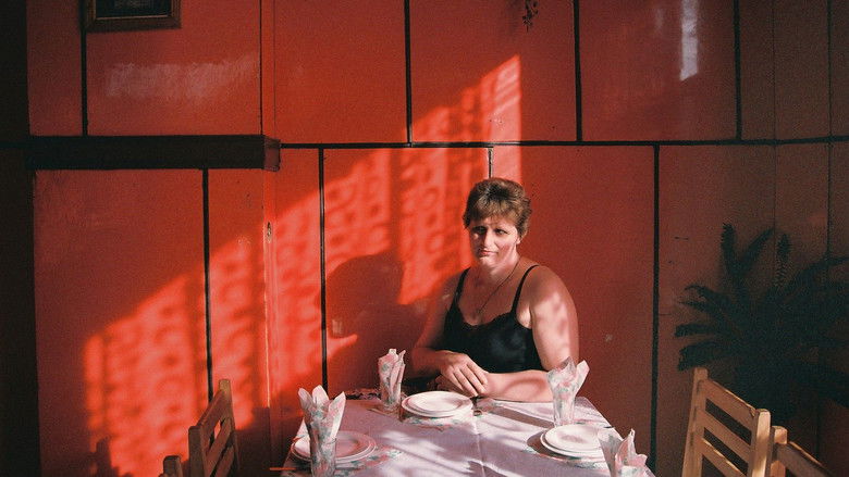 кадр из фильма Бахмаро