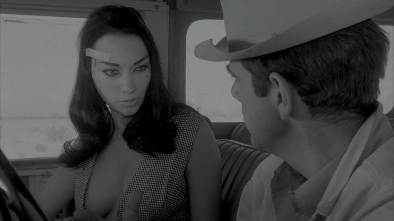 кадр из фильма Безумные мотоциклисты