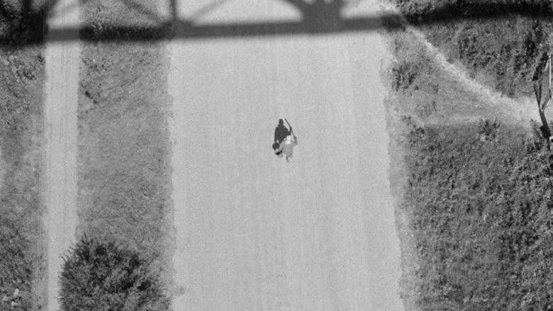 кадр из фильма Antigravitacija