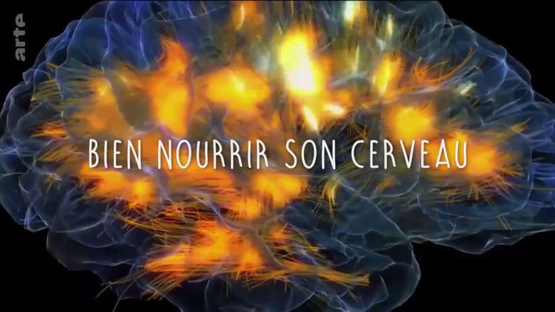 кадр из фильма Bien nourrir son cerveau