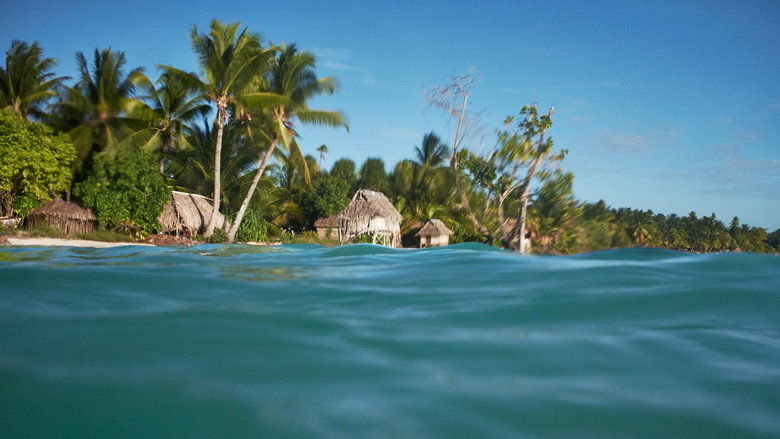 кадр из фильма Anote's Ark