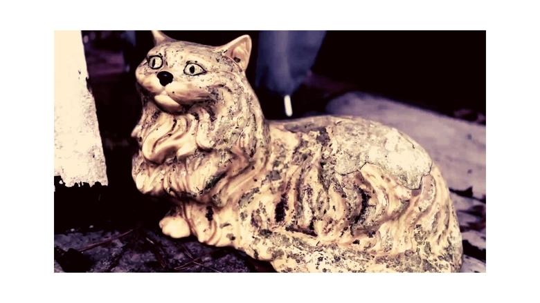 кадр из фильма Self-Titled