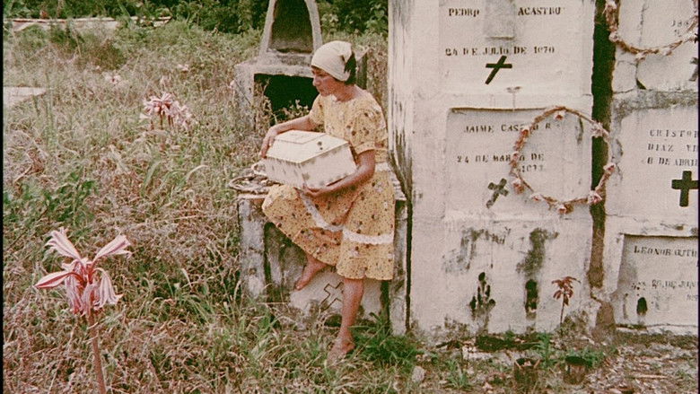 кадр из фильма La Hamaca