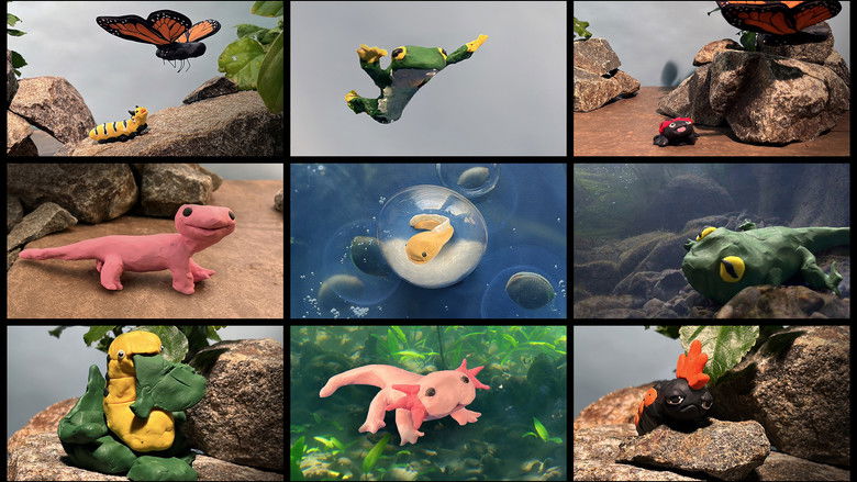 кадр из фильма Metamorphosis