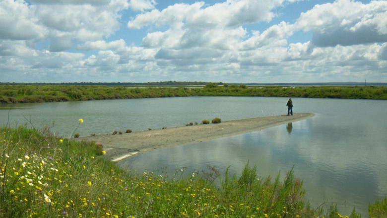 кадр из фильма Nuno David 25