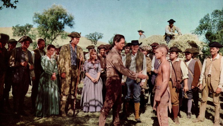 кадр из фильма Свет в лесу