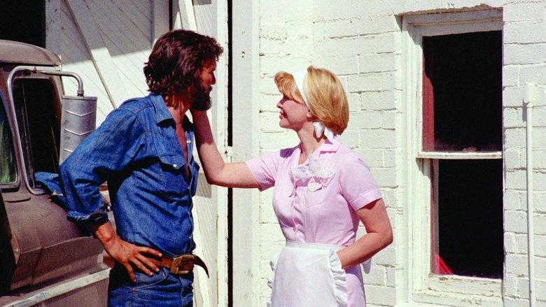 кадр из фильма Алиса здесь больше не живет