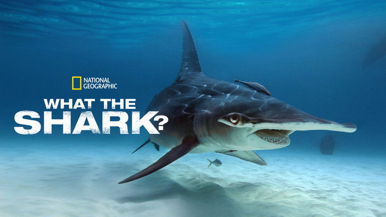 кадр из фильма What the Shark?