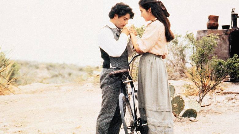 кадр из фильма Как вода для шоколада