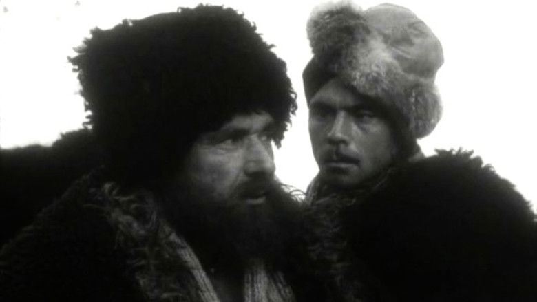 кадр из фильма Белые горы