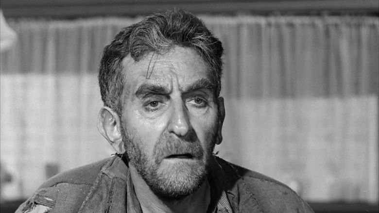 кадр из фильма Lady in a Cage