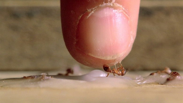 кадр из фильма Аромат зеленой папайи