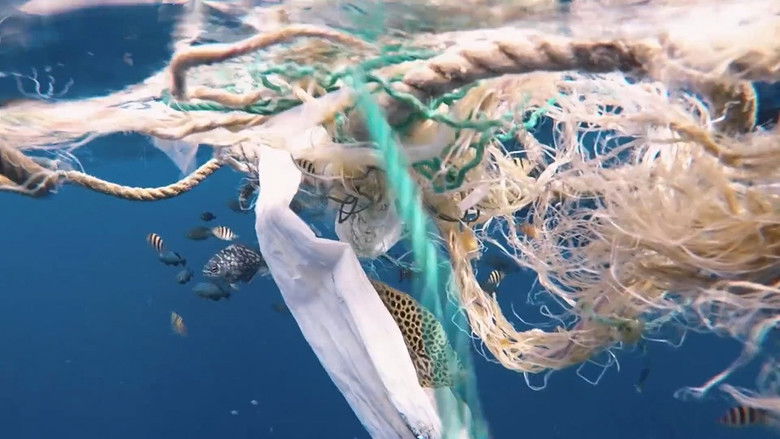 кадр из фильма The Swim