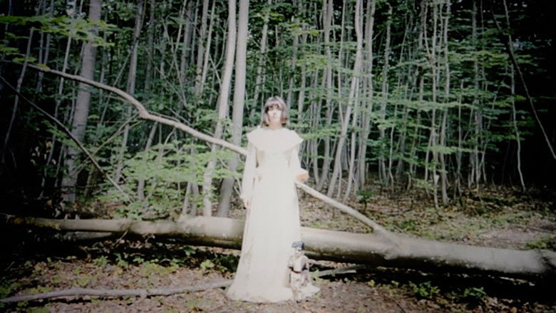 кадр из фильма Ballad of a Jutland girl