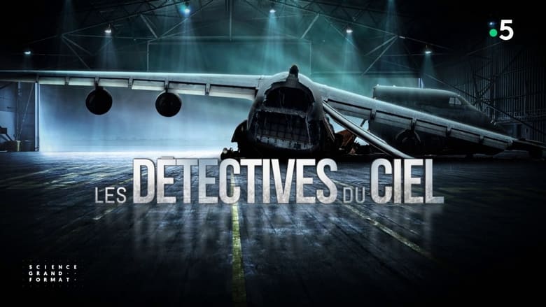кадр из фильма Les Détectives du ciel