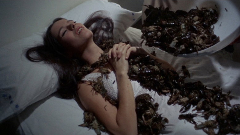 кадр из фильма La Madriguera