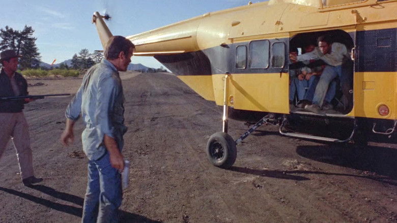 кадр из фильма The Devil's Eight