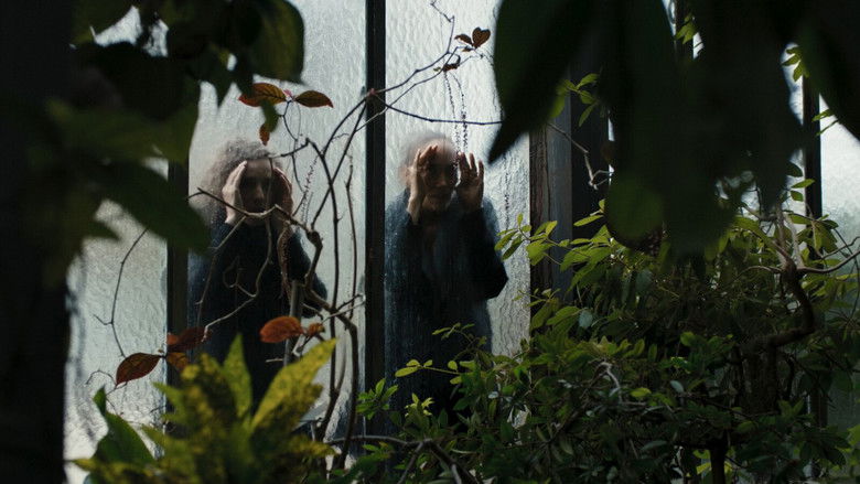 кадр из фильма A Little Love Package