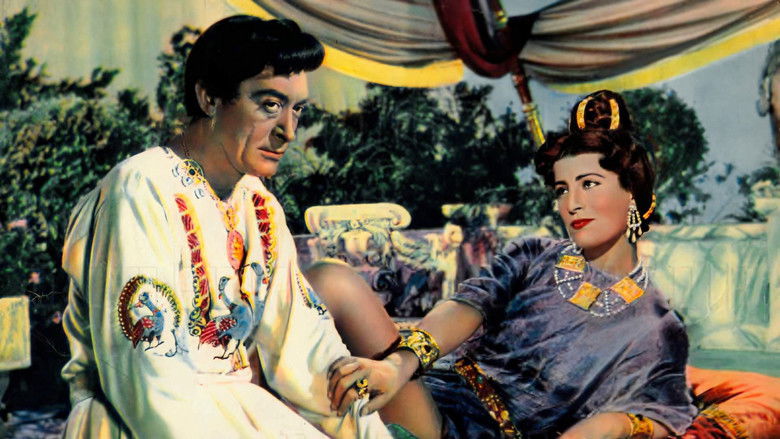 кадр из фильма Теодора