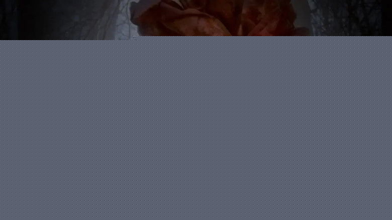 кадр из фильма Pocong Merah