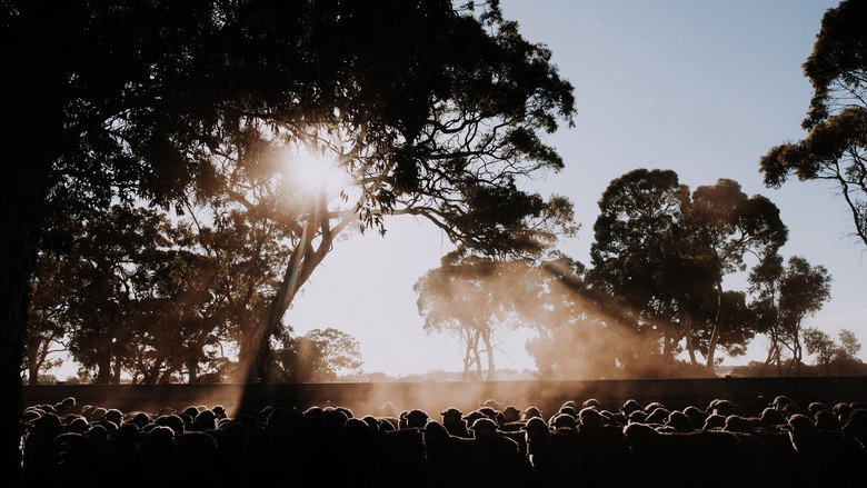 кадр из фильма Homespun