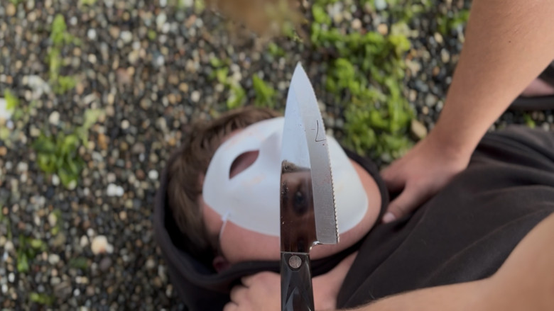 Senseless Acts of Violence