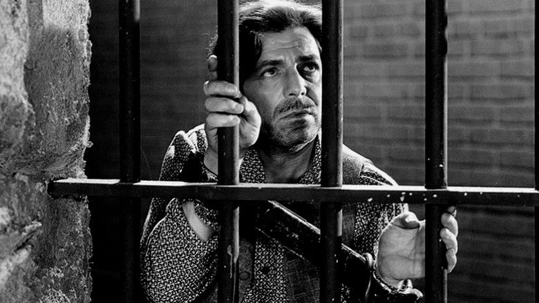 кадр из фильма The Prisoner of Shark Island