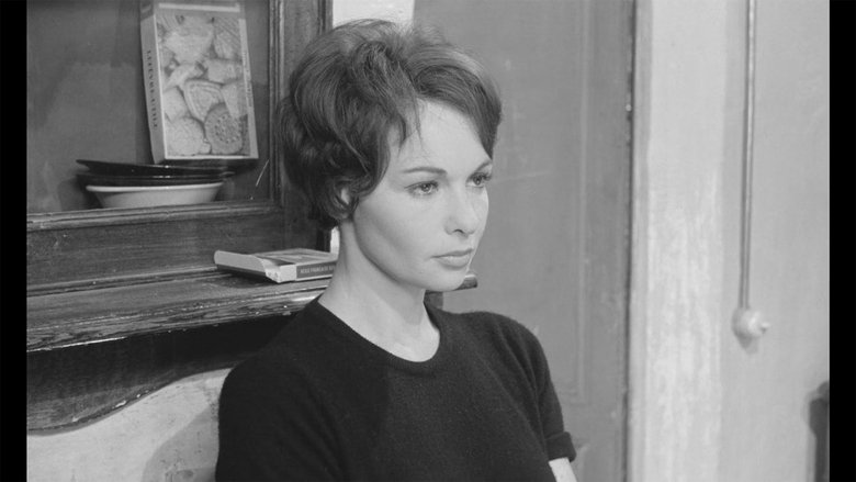 кадр из фильма La morte-saison des amours