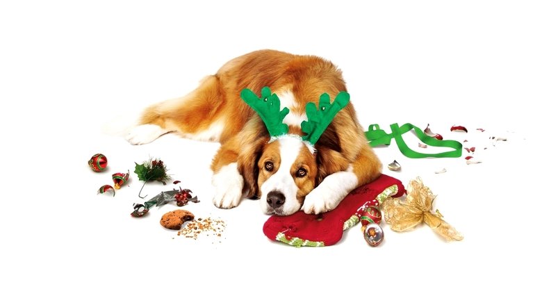 кадр из фильма Любите Куперов