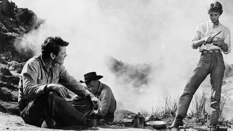 кадр из фильма From Hell to Texas