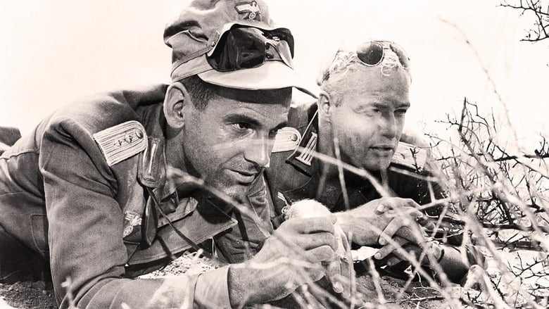 Молодые львы