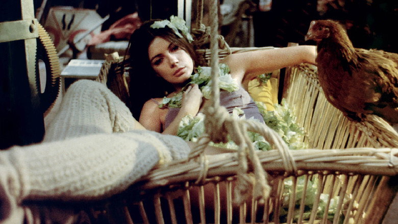 кадр из фильма Сладкий фильм