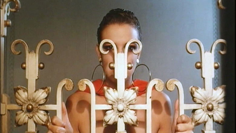 кадр из фильма Матадор