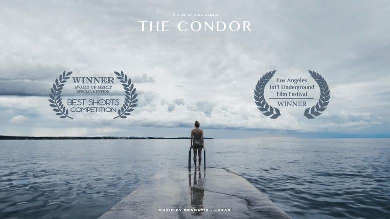 The Condor