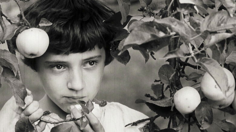 кадр из фильма Злодій