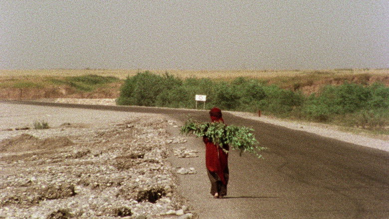 кадр из фильма خاک سر به مهر