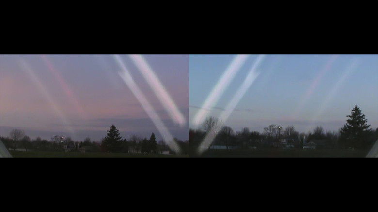 кадр из фильма sunset lights