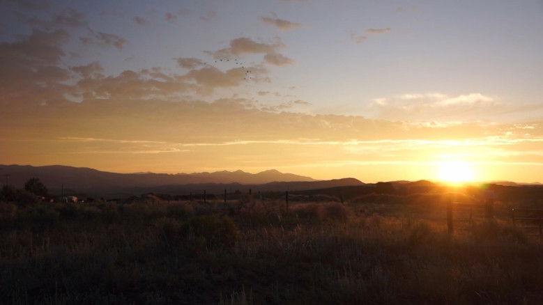 кадр из фильма Coming to Terms