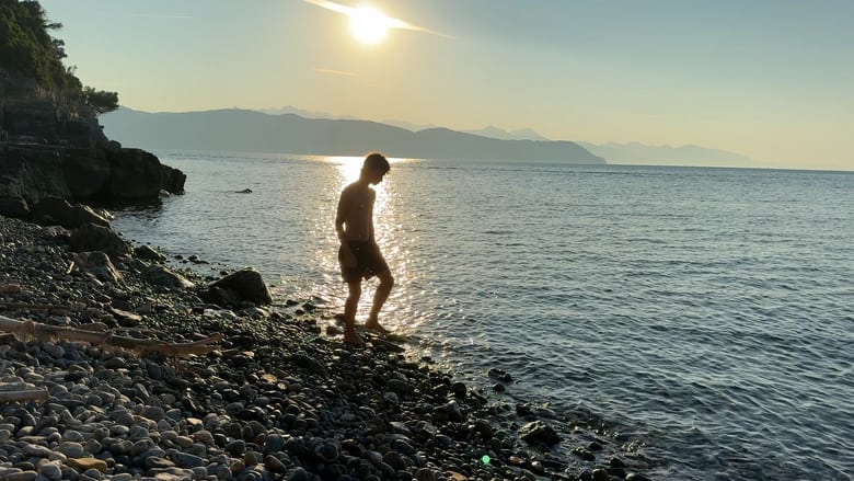 кадр из фильма Summer on a solitary beach