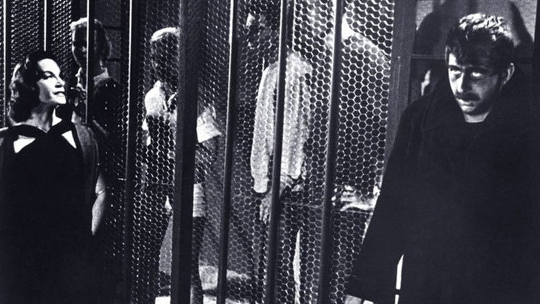 кадр из фильма Teenage Zombies