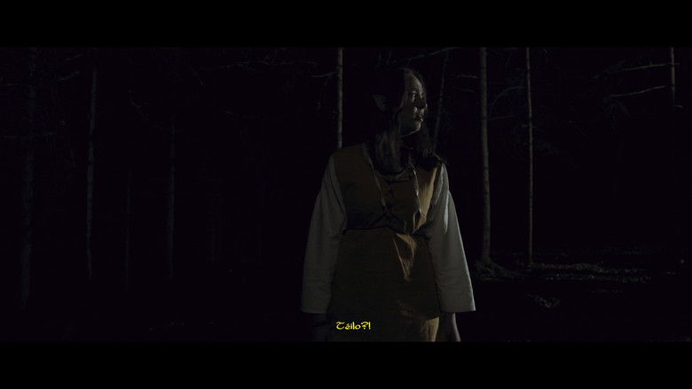 кадр из фильма Aerindor: The silent sacrifice