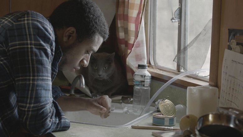 кадр из фильма The Alchemist Cookbook