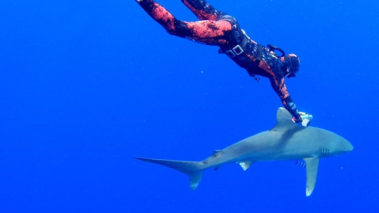 кадр из фильма World's Most Dangerous Shark?