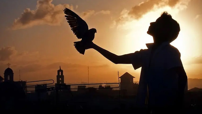 кадр из фильма Поведение