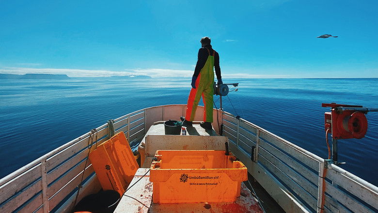 кадр из фильма Skuld – For the Love of Cod