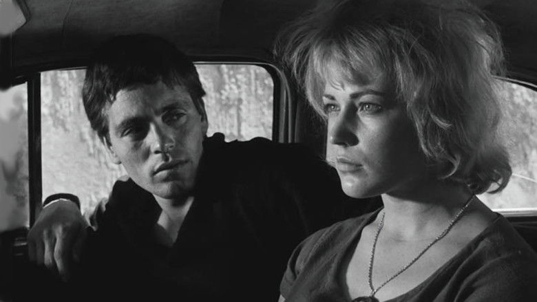 кадр из фильма Аккатоне