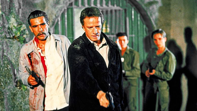 кадр из фильма Безликий