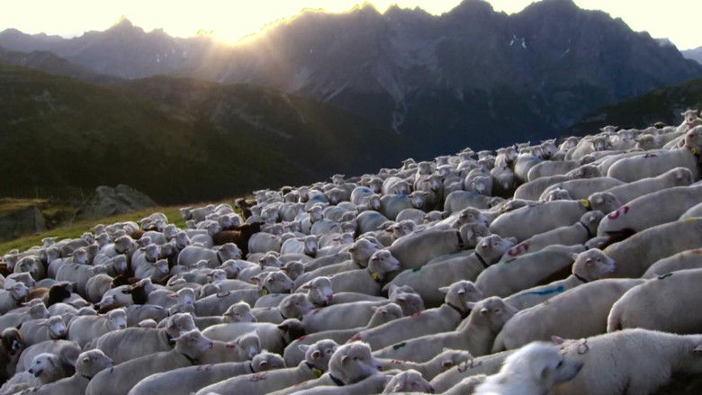 кадр из фильма Engadin: Switzerland's Wilderness