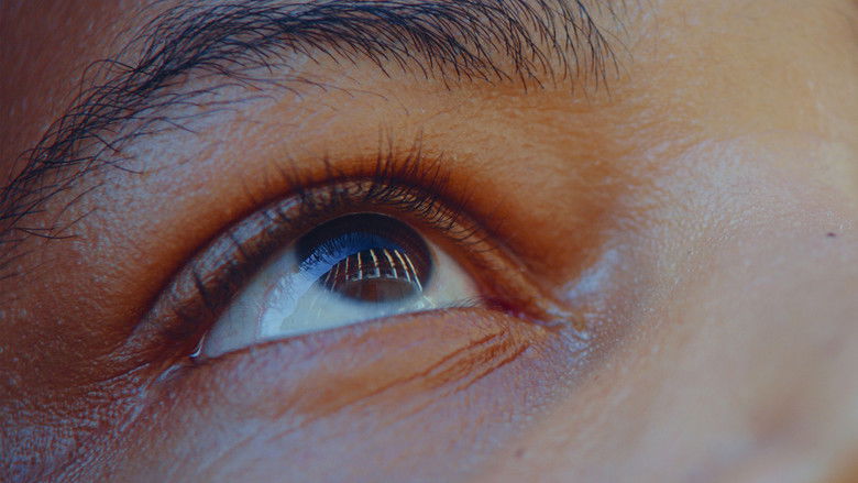 кадр из фильма Estranho Caminho