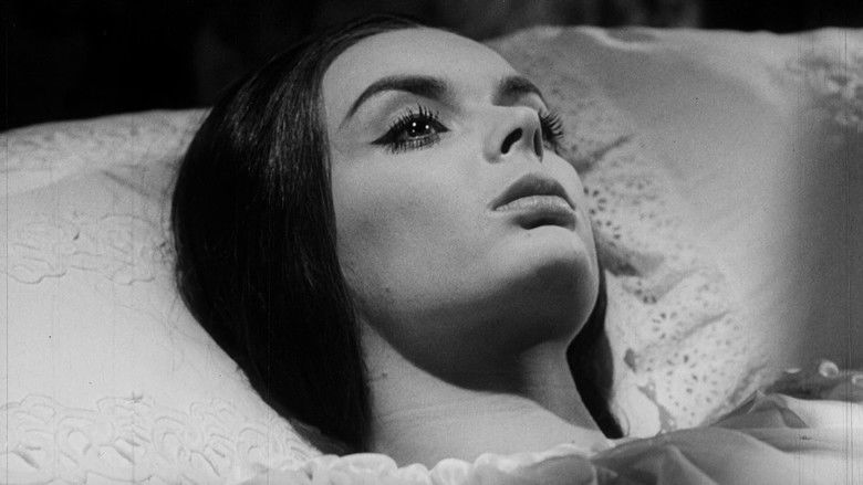 кадр из фильма Замок крови